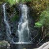 Waterval bij Strahan in Tasmani�
