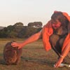 Dory knuffelt een wombat
