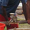 In Avokh maken de mannen de Kava met een gehaktmolen
